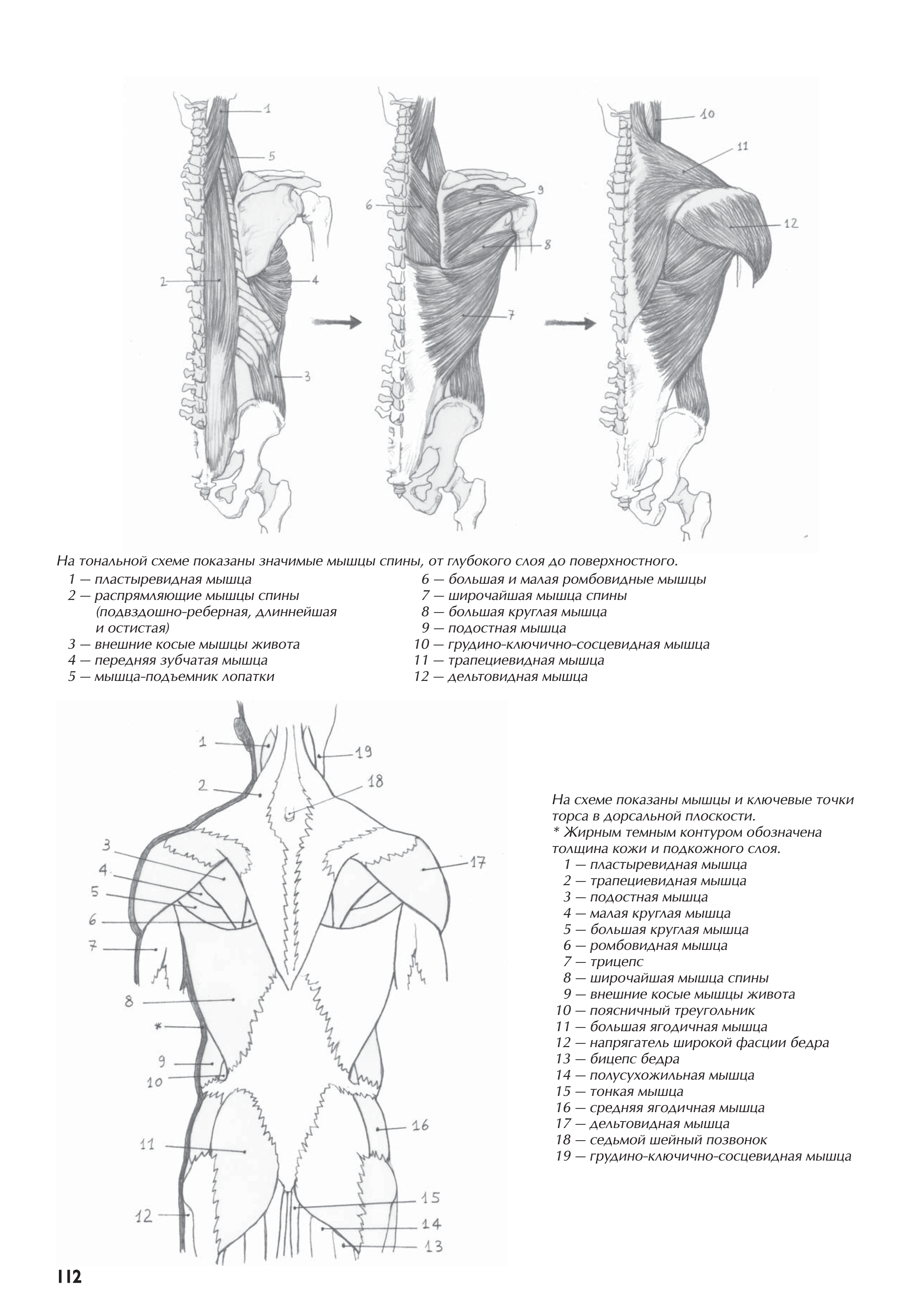 آموزش نقاشی طراحی سیاه قلم شهرری